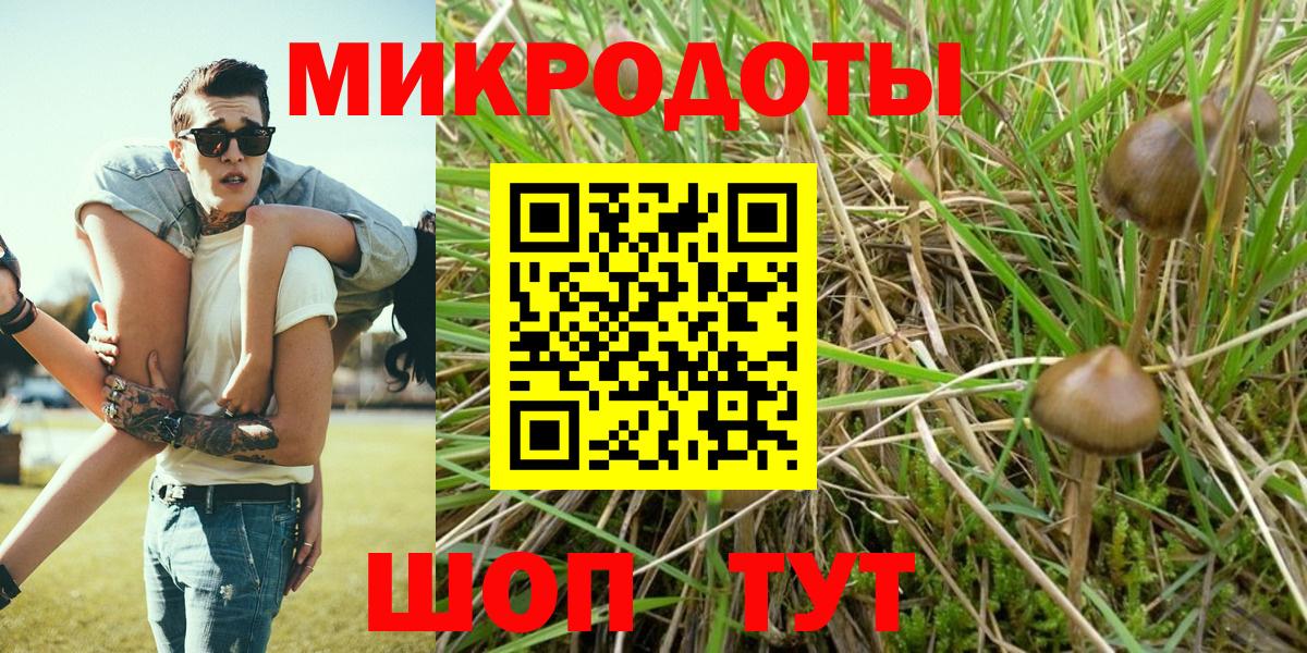 Псилоцибиновые грибы Psilocybe Солнечногорск