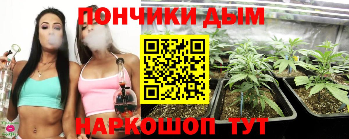 Шишки марихуана AK-47 Солнечногорск